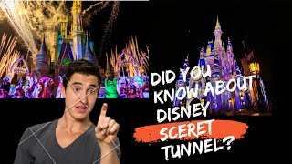 Secrets of Disneyland The Underground Tunnels You Never Knew Existed [upl. by Lorenza79]