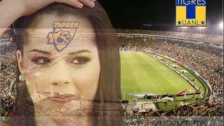 Himno de Tigres [upl. by Cosetta]