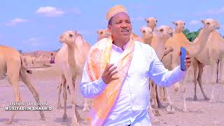 DHAANTO CUSUB  MUXIYADIIN SHAAHID  FARXIYA OFFICIAL MUSIC VIDEO2024 [upl. by Ihpen]