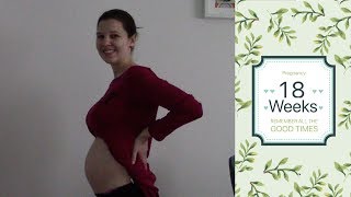 18 Weeks Pregnant after 3 Miscarriages  AnnikasLife [upl. by Toshiko510]