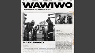 Wawiwo feat Joh Makini Shaa [upl. by Idnaj]