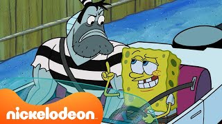 SpongeBob  SpongeBob wird von der Polizei gejagt 🚨  Ganze Szene  Nickelodeon Deutschland [upl. by Artie]