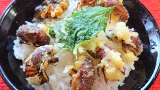 【昆虫食】セミの親子天丼～捕まえて食べるまで～ [upl. by Orji]