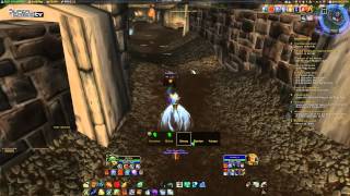 Teil 107 Barlow Drunken Vanion WoW Underskilled And Overgeared [upl. by Hniht]