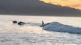 Sunrise surf at Rincon with Dolphins [upl. by Sewellyn199]