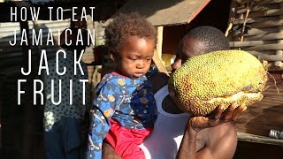 How to eat Jamaican Jackfruit with Ratty [upl. by Cleopatra687]