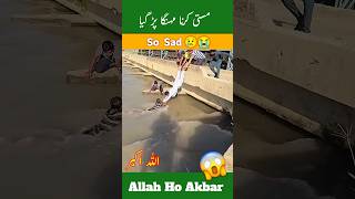 Allah hu akber allah pak ny bacha leya shorts 😱😱😱😱shortvideo [upl. by Elvera]