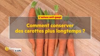 Comment conserver des carottes plus longtemps [upl. by Ilonka]