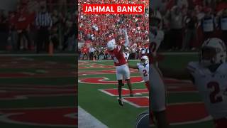 Jahmal Banks Receiving Touchdown Pass Dylan Raiola Nebraska Husker Football vs Wisconsin 112424 [upl. by Akihsan]