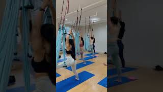 Best Aerial Yoga Stretch 🔥 aerialyoga aerialyogaflow aerialyogaclass swingyoga yogaflow [upl. by Barrada]