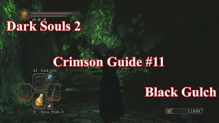 Dark Souls 2 SotFS  Crimson Guide 11 Black Gulch [upl. by Annah]