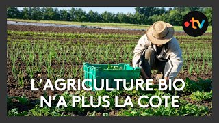 Lagriculture bio en perte de vitesse [upl. by Kantos]