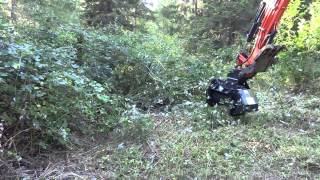 Defender Brush Mulcher by RockHound Attachments on Kubota Excavator [upl. by Artinad]