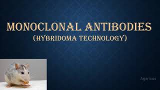 MONOCLONAL ANTIBODIES  MONOCLONAL ANTIBODY PRODUCTION USING HYBRIDOMA TECHNOLOGY [upl. by Nohsyt]