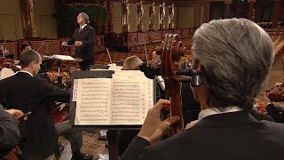 Hoffnung und Optimismus für 2021 das Neujahrskonzert der Wiener Philharmoniker [upl. by Dorman520]