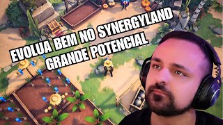 SYNERGY LAND  COMO EVOLUIR E FUTURO [upl. by Llirrehs802]