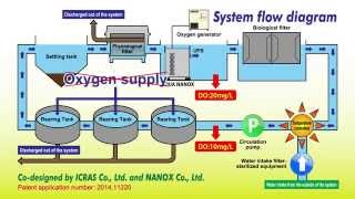 A closed recirculating aquaculture system CRAS using oxygenated ultra fine bubbles [upl. by Asaret]