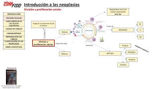 FISIOPATOLOGÍA NEOPLASIAS INTRODUCCIÓN I [upl. by Lezti]