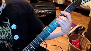 Skinless  Trample the Weak Hurdle the Dead Guitar Cover [upl. by Einnel363]