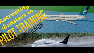 Recreating Aviation disasters in PTFS Pt 2 ptfs roblox aircrash [upl. by Hawkie304]