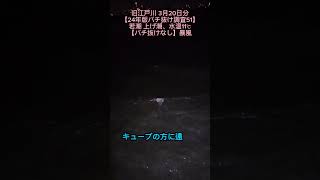 旧江戸川 3月20日分【24年版バチ抜け調査51】若潮 上げ潮、水温11℃【バチ抜けなし】暴風 バチ抜けシーバス 旧江戸川シーバス 東京湾奥シーバス [upl. by Attela]