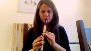 Tin whistle  Irish Tunes Mix [upl. by Lerraj332]