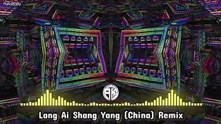 Lang Ai Shang Yang Remix [upl. by Anum]