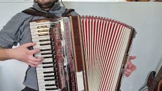 Kolkor kaplic tolko let Slovenian drinking toast accordion folksong slovenia [upl. by Sol897]