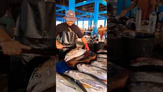 Beby Yellowfin tuna cutting skills youtubeshorts shorts [upl. by Attenat]