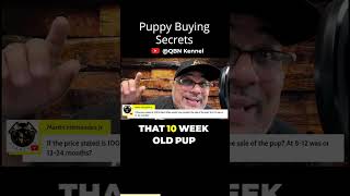 Puppy Buying Secretsmp4 [upl. by Hafler]