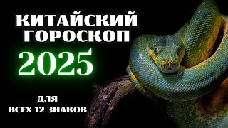 КИТАЙСКИЙ ГОРОСКОП НА 2025 ГОД ПО ГОДУ РОЖДЕНИЯ  ВОСТОЧНЫЙ ГОРОСКОП 2025 ГОД [upl. by Raddatz]