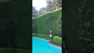 Best Landscaper Jokes  Guerrero Landscaping Dallas [upl. by Hsitirb743]