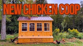 NEW CHICKEN COOP  Setup and Moving All the Chickens to their NEW HOME [upl. by Rehsu277]