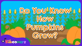 Do You Know How Pumpkins Grow  The Kiboomers Preschool Songs  Fall Circle Time Song [upl. by Atneciv160]