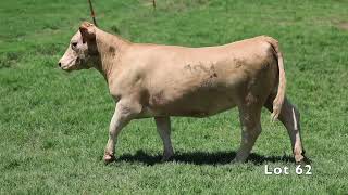 Black Hereford Ranch 62 [upl. by Akila]