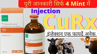 curx injection  Ketoprofen and Enrofloxacin injection  curex injection use in hindi [upl. by Coulter]