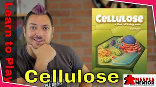 Learn to Play Cellulose variants and SOLO [upl. by Avah]