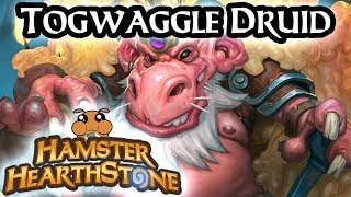 Hearthstone S54  Togwaggle Malygos Druid  Boomsday Project [upl. by Rubio]