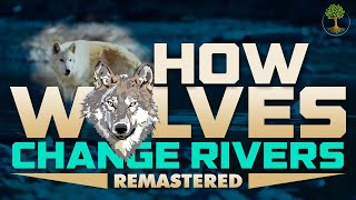 How Wolves Change Rivers REMASTERED HD  George Monbiot [upl. by Tara193]