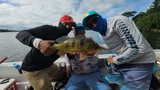 Pesca de SargentoLago Gatún Canal de Panamá [upl. by Rudelson]