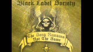 black label society  overlord unplugged [upl. by Berlyn]