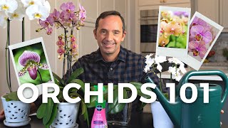 Caring for Orchids A StepbyStep Guide [upl. by Oiramed]