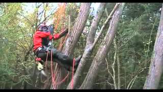 How to sharpen a chainsaw easilychainsaw chain sharpeningAnsell [upl. by Nauwtna]