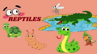 Reptiles with picture  Kids learning  Kindergarten [upl. by Ecaj176]