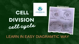 CELL DiVISION l why cell divides l [upl. by Mark]