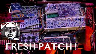 Buchla TipTop 259t  Fresh Patch  Bill T Miller SynthStream on BTMTV  New Module Day Quick Peek [upl. by Odlaniger]