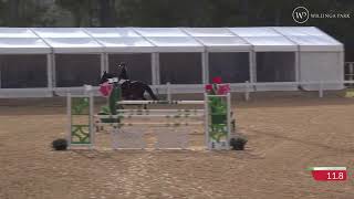 4CYTE™ JumpingWillinga Wallaby Hill 110m Junior [upl. by Aela]