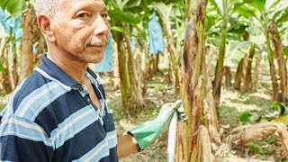 What Fairtrade is fighting to change [upl. by Gibbie]