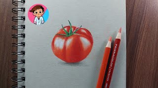 How to draw tomato step by step tutorial  prismacolor pencils [upl. by Luigi89]