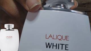 The Family of Encre Noire Lalique White Review [upl. by Worth128]